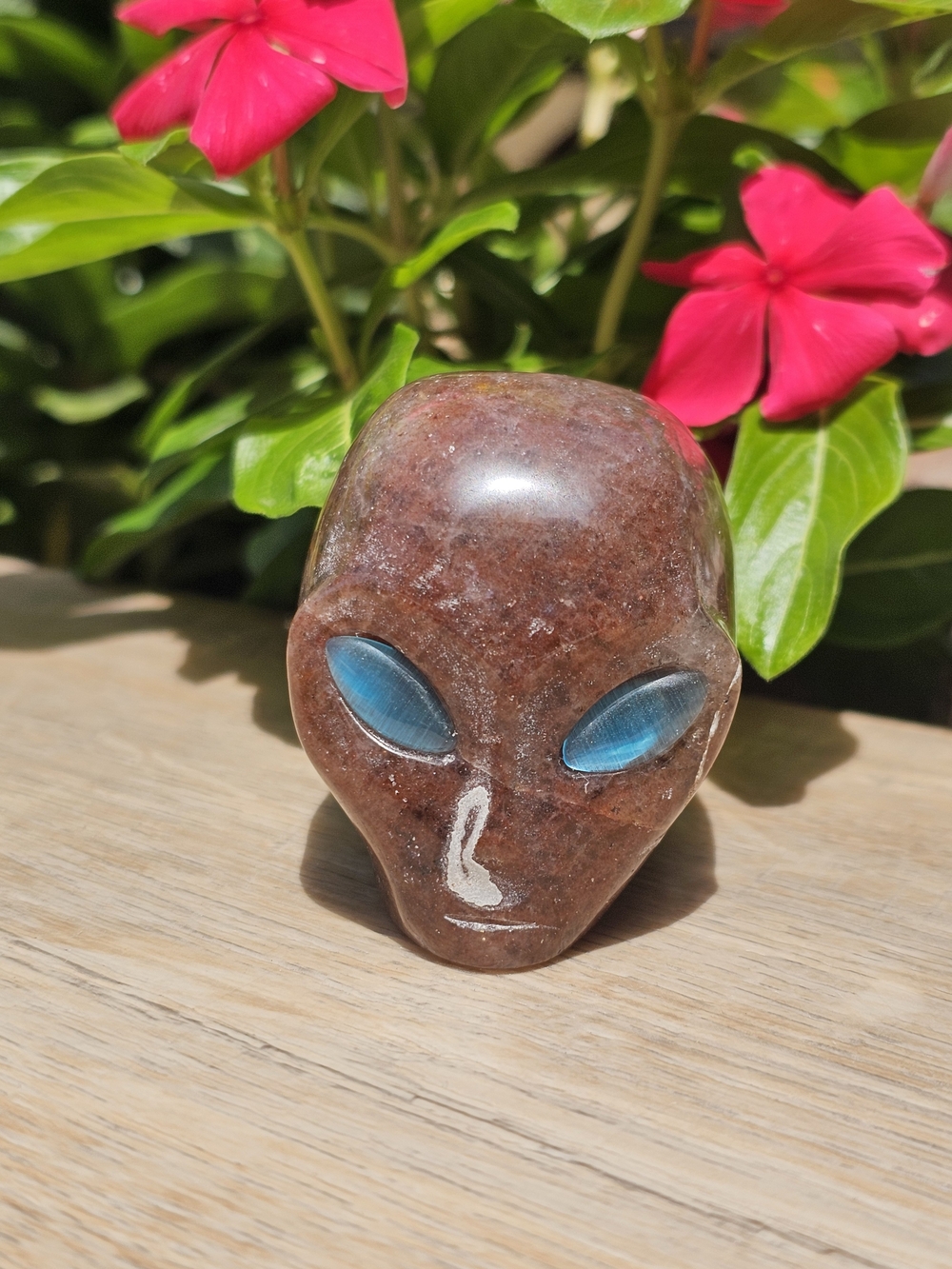 Red Garnet Crystal Skull Labradorite Eyes